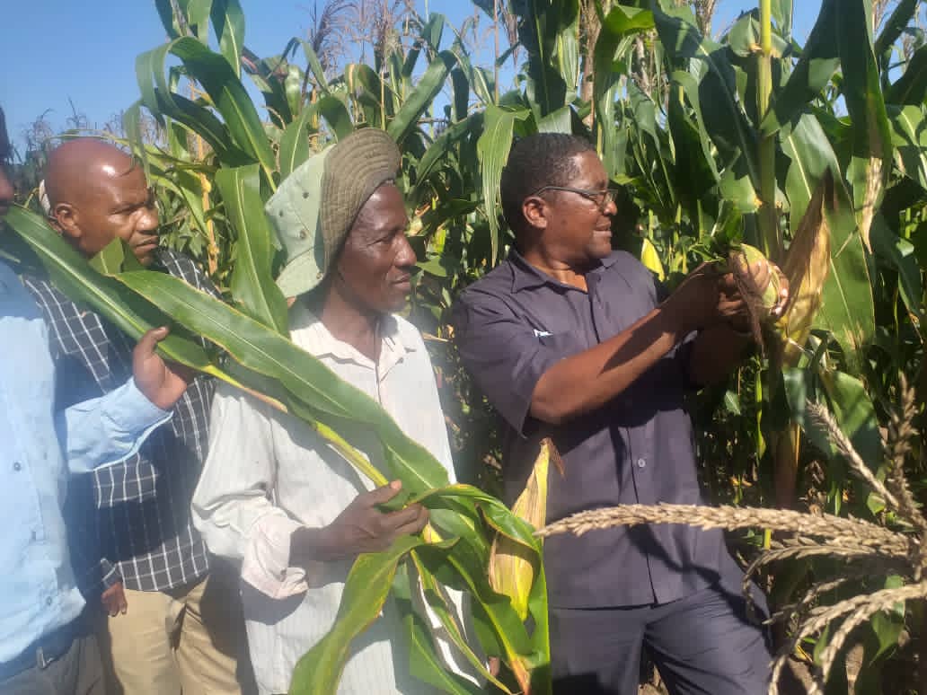 Director General Dr.Geofrey Mkamilo Visited the center and one of the Maize demonstration plots managed by the farmer.