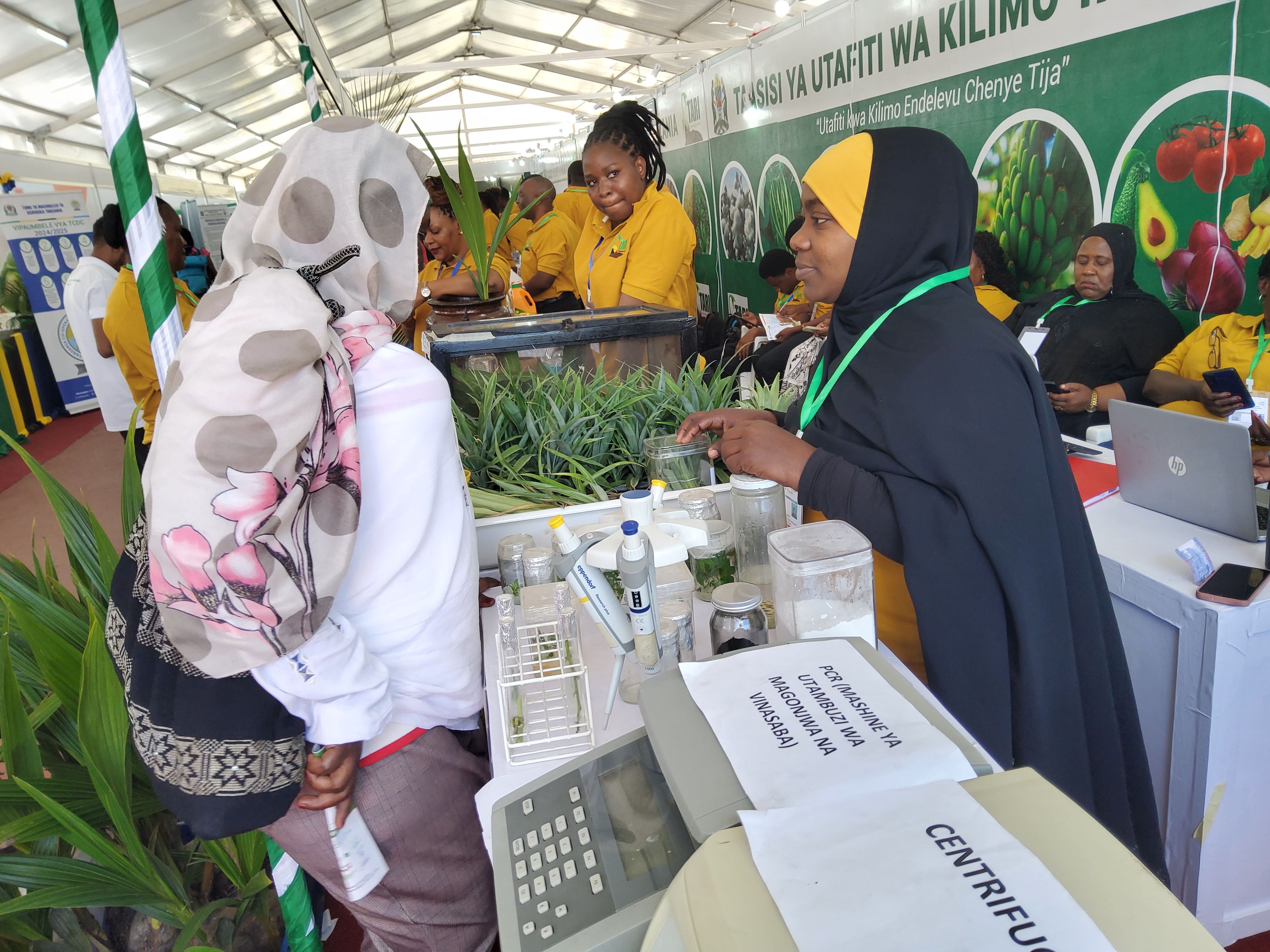 Afua Omary (Right), researcher from TARI Mikocheni explaining to a farmer on the importance of Tissue Culture Technology during Dar es Salaam International Trade Fair (DITF) 2024