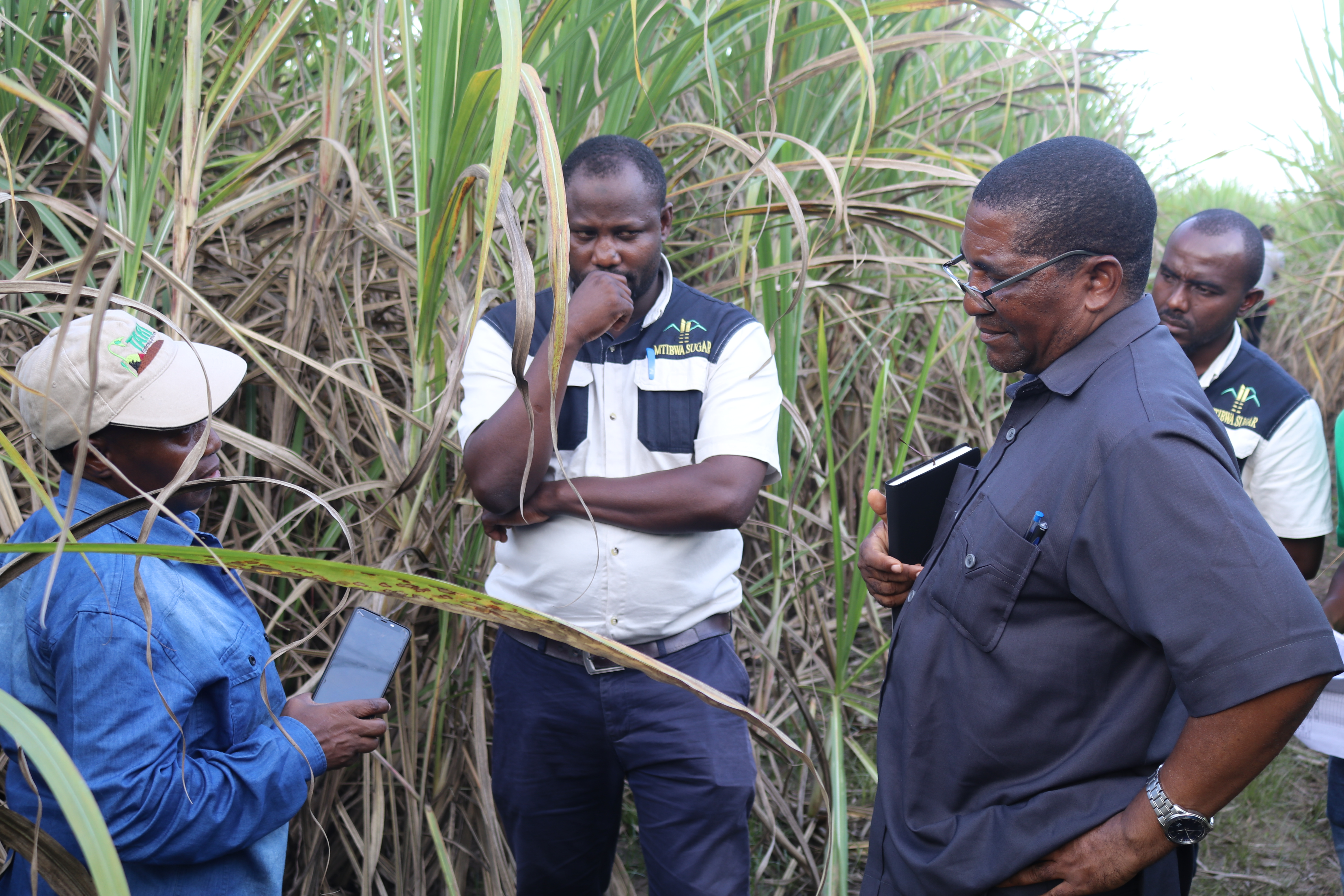 TARI DG, Dr. Geoffrey Mkamilo and TARI Kibaha management on their visit to Mtibwa Sugar Estates to get insight on the way TARI research is contributing to improving the production and productivity of sugarcane 