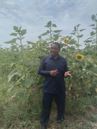 Dr. Geoffrey Mkamilo (Director General ) visits  TARI Ilonga  to monitor research activities and crop development  at the centre