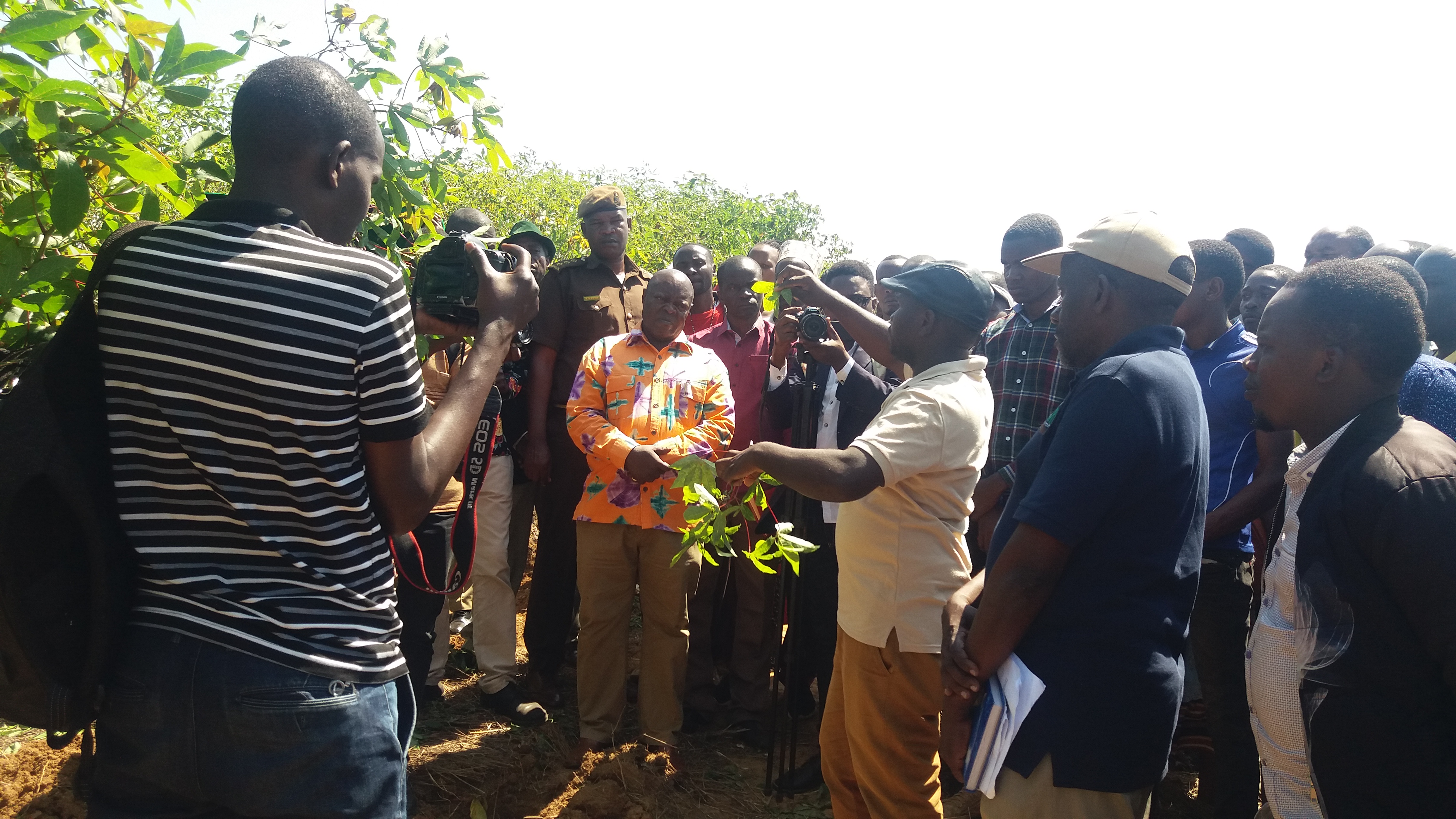 TARI Maruku promotes improved cassava varieties through farmers' field days. Muleba District Commissioner, Hon. Richard H. Ruyango (at the center in the picture) listening to farmers and researchers during field day conducted in the Muleba district.