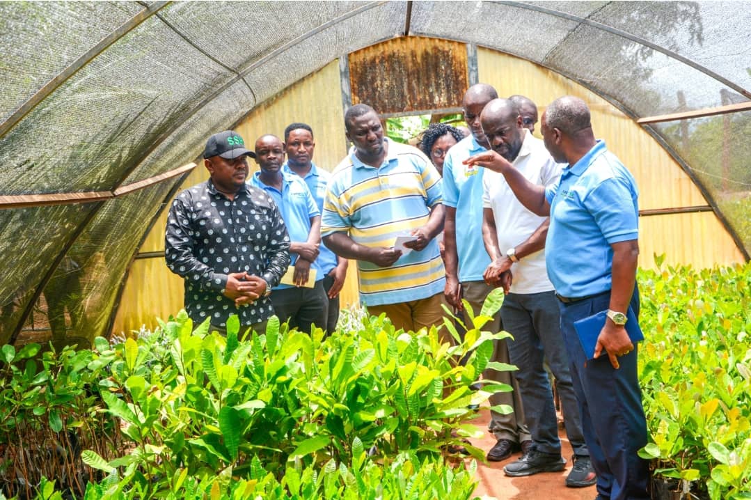 Deputy Permanent Secretary of the Ministry of Agriculture responsible for Crops Development and Food Security visited TARI Naliendele Center