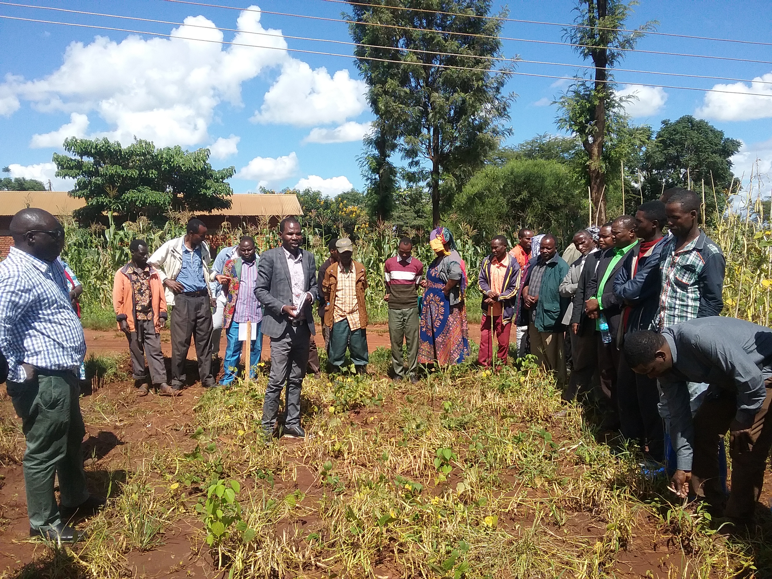 Mr. Nestory Shida, the head of Bean Program at TARI-Selian, giving detailed information on bean varieties developed by TARI-Selian center  during the Farmers Field Day at Hydom,Mbulu District on 01/04/2021