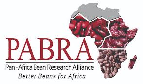 Pan-Africa Bean Research Alliance