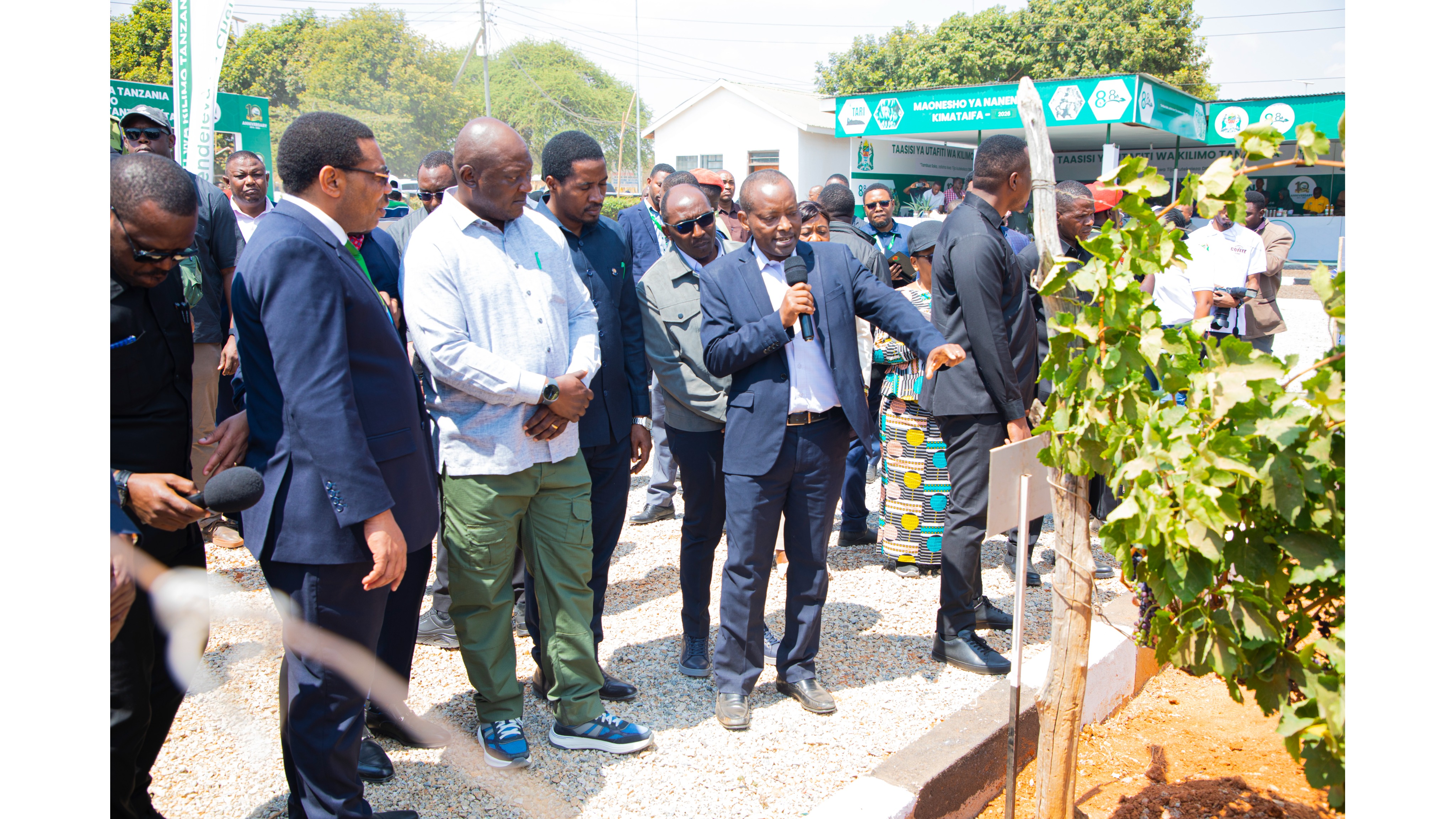 MWIGULU AIPONGEZA TARI KWA TAFITI ZENYE TIJA KATIKA SEKTA YA KILIMO